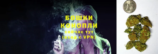 крисы Белоозёрский