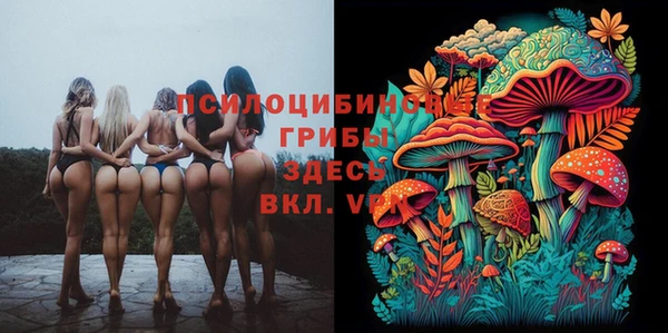 крисы Белоозёрский
