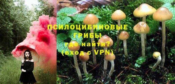 марки lsd Богородицк