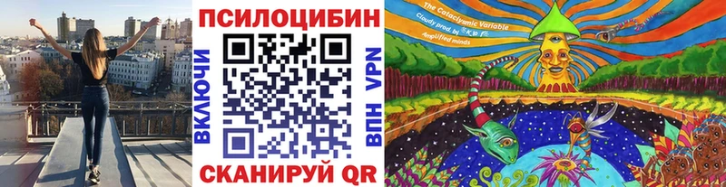 наркота  Билибино  Галлюциногенные грибы прущие грибы 